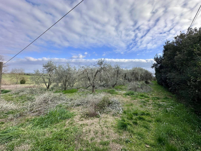 Podere in vendita a Roccastrada