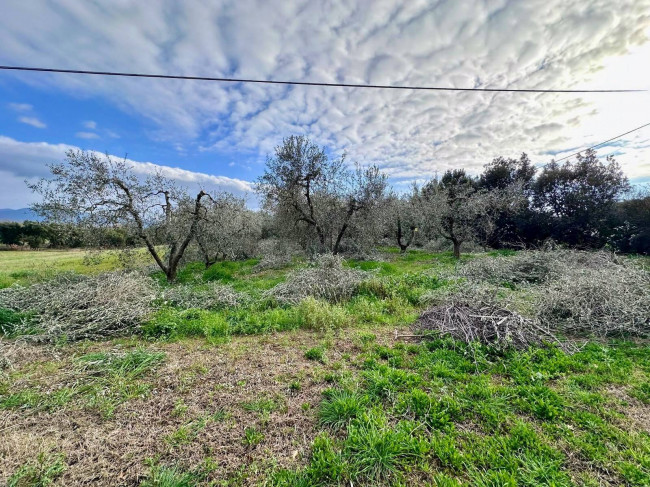 Podere in vendita a Roccastrada