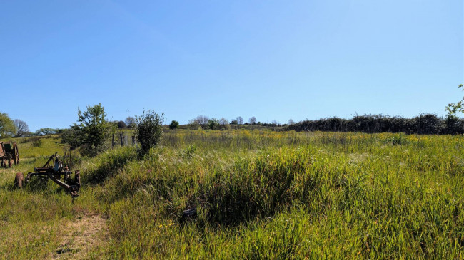Podere in vendita a Grosseto