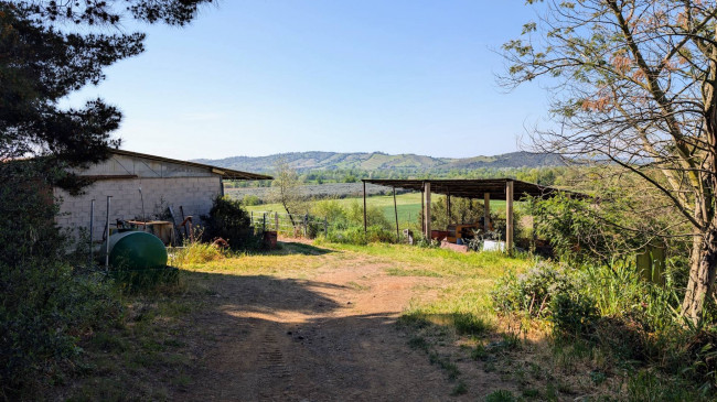 Podere in vendita a Grosseto