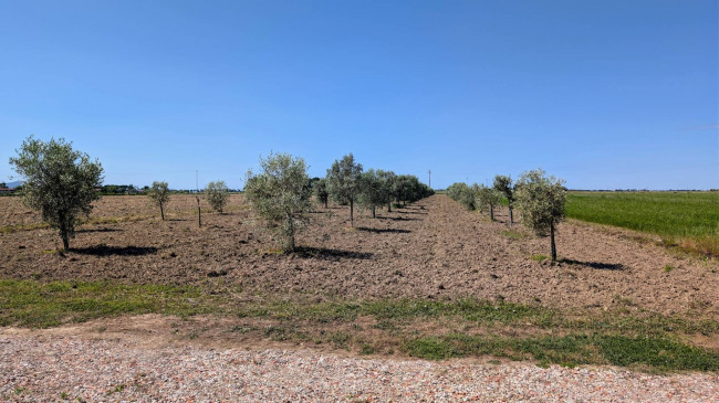 Rustico in vendita a Grosseto
