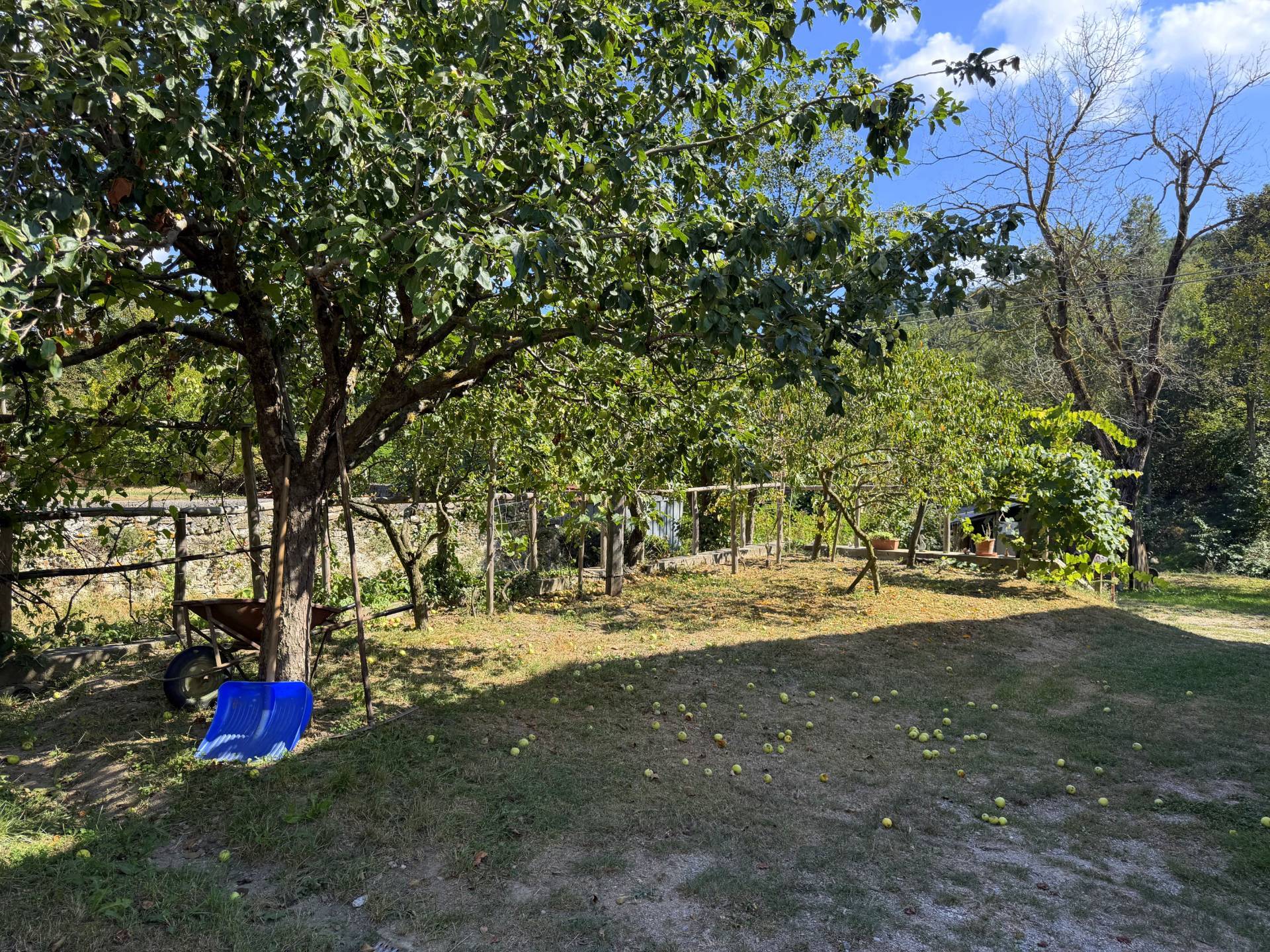 Appartamento in vendita a Mallare - foto 5
