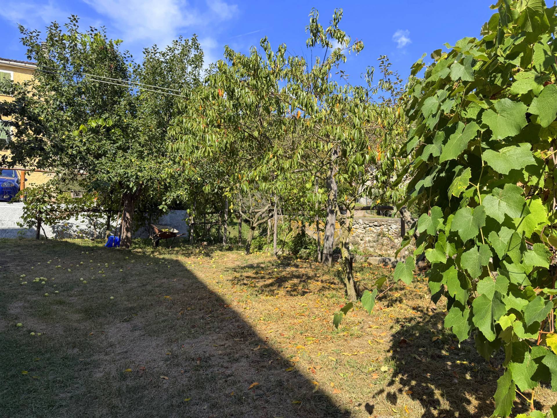 Appartamento in vendita a Mallare - foto 6