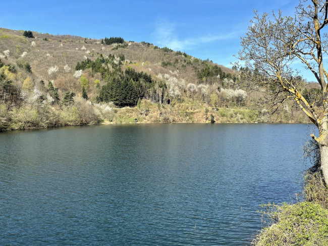 Fondo commerciale in affitto a Rossi, Osiglia (SV)