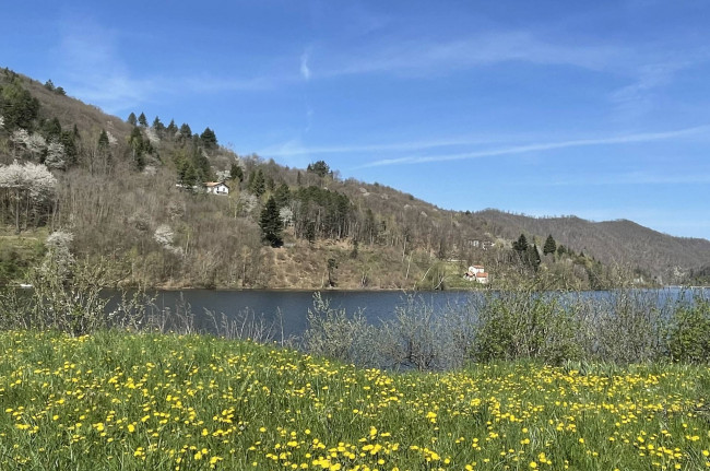 Fondo commerciale in affitto a Rossi, Osiglia (SV)