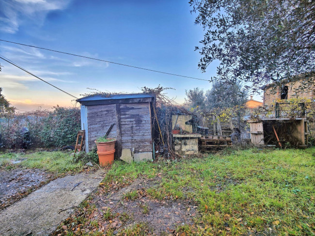 Casa singola in vendita a Carmignano