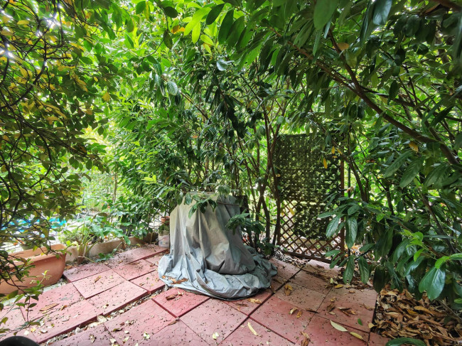 Casa singola in vendita a Campi Bisenzio