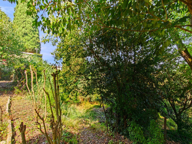 Casa singola in vendita a Carmignano