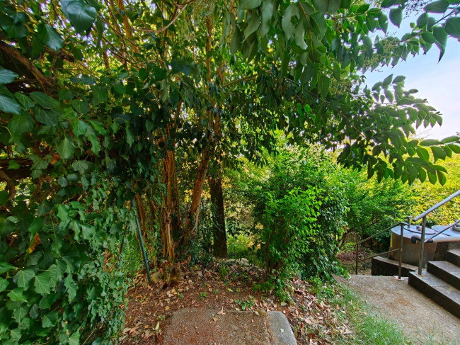 Casa singola in vendita a Carmignano