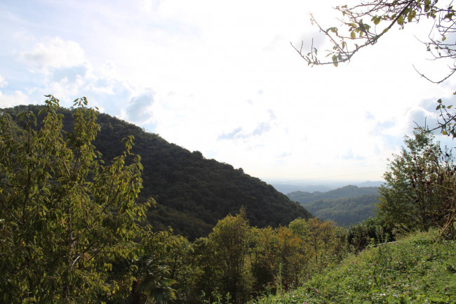 Terreno edificabile in vendita a Torre De' Busi (BG)