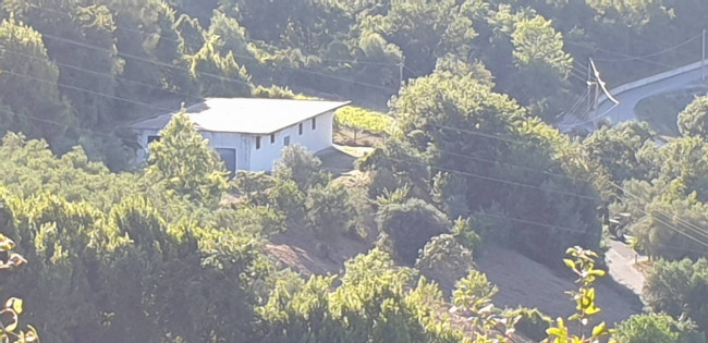 Terreno agricolo in vendita a Torchiara (SA)