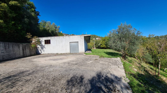 Terreno agricolo in vendita a Torchiara (SA)