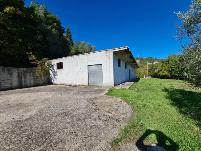 Terreno agricolo in vendita a Torchiara (SA)