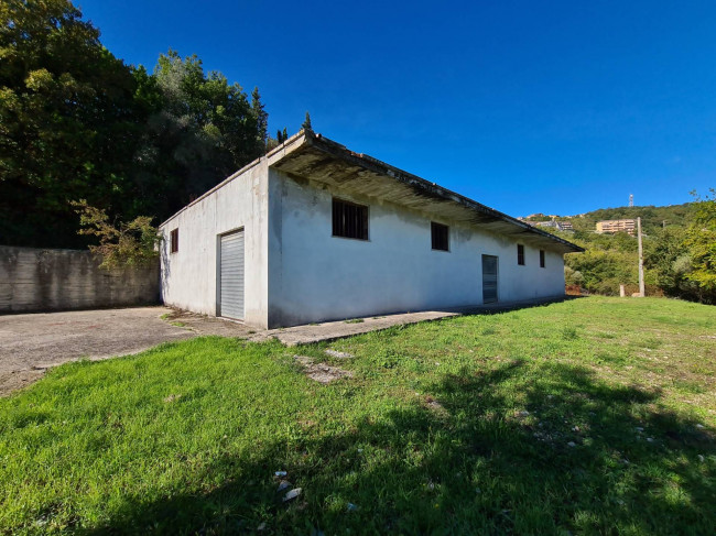 Terreno agricolo in vendita a Torchiara (SA)