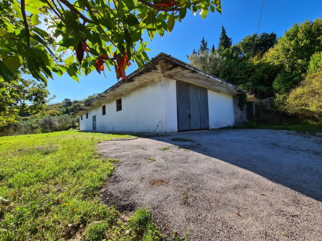 Terreno agricolo in vendita a Torchiara (SA)