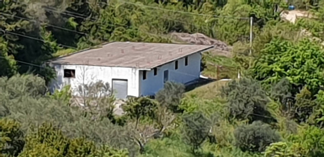 Terreno agricolo in vendita a Torchiara (SA)