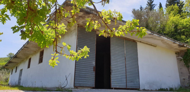 Terreno agricolo in vendita a Torchiara (SA)