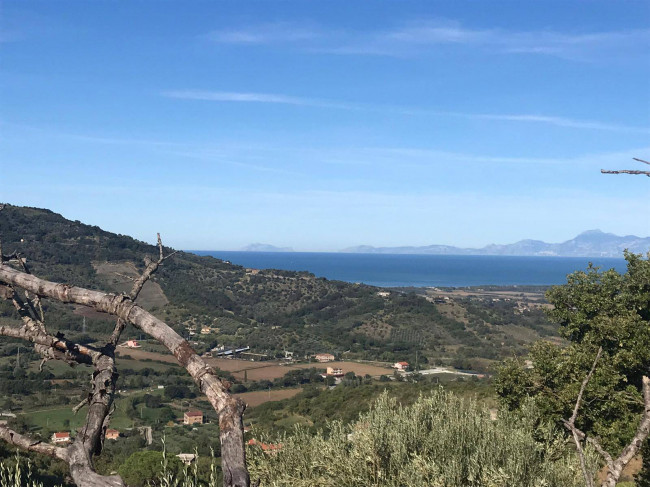 Terreno agricolo in vendita a Cicerale (SA)