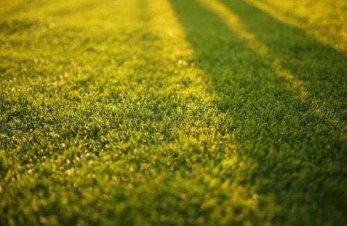 Terreno Agricolo in vendita a Pordenone