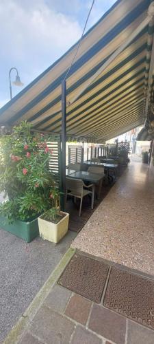 Business for sale in Roveredo in Piano