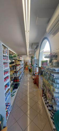 Business for sale in Roveredo in Piano