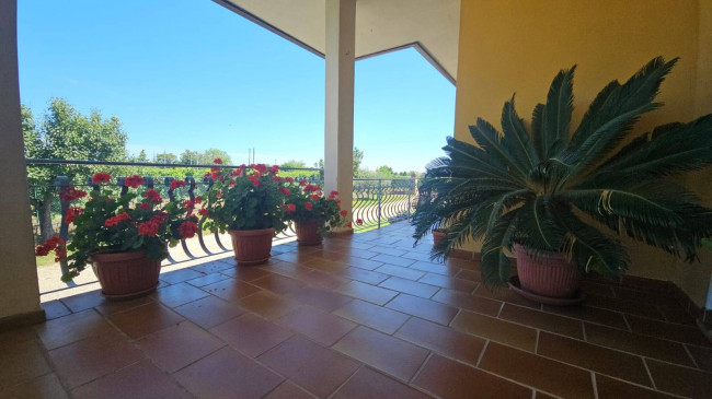 Single House for rent in Cordenons
