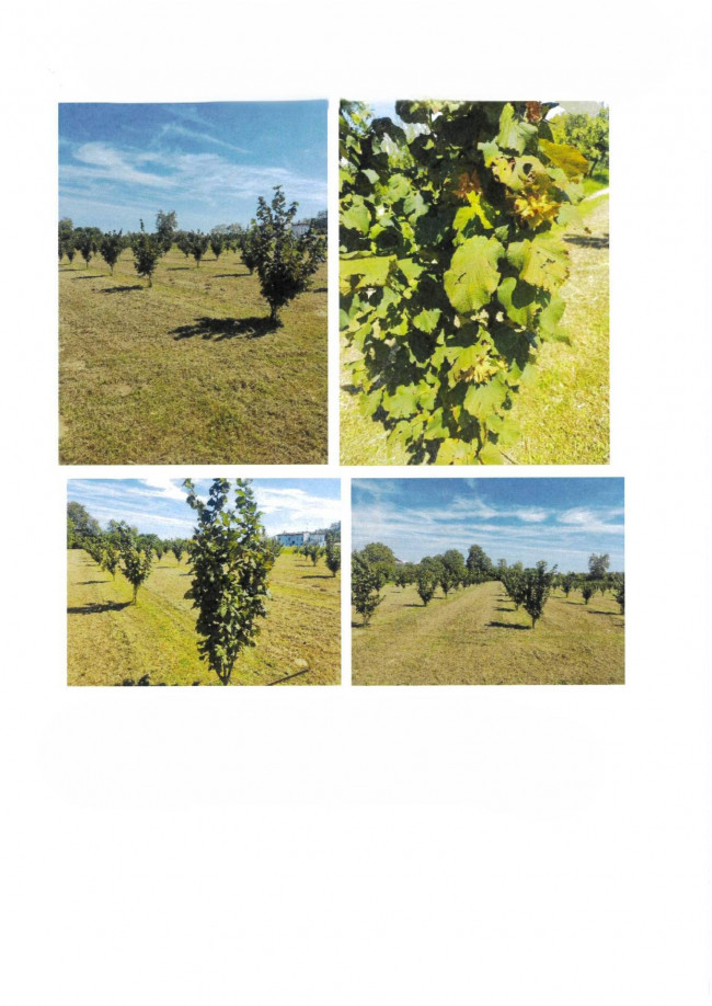 Terreno Agricolo in vendita a Fontanafredda