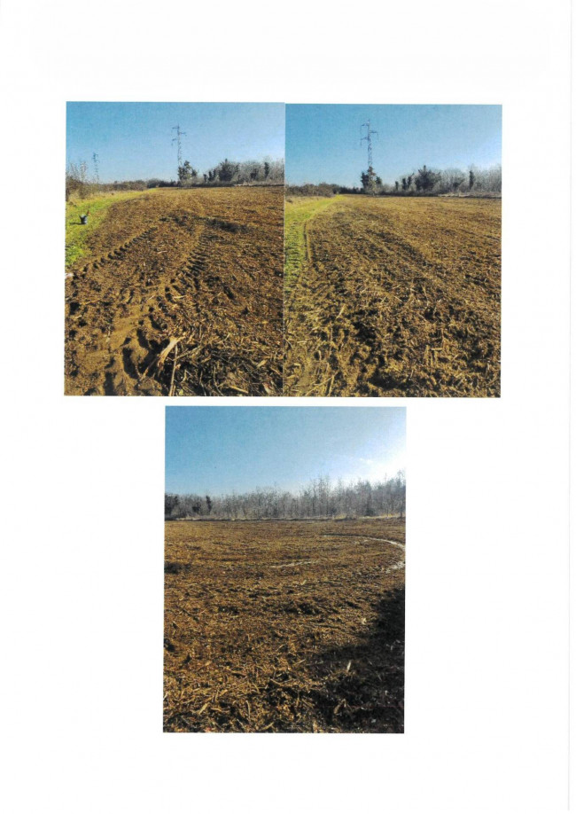 Terreno Agricolo in vendita a Pordenone