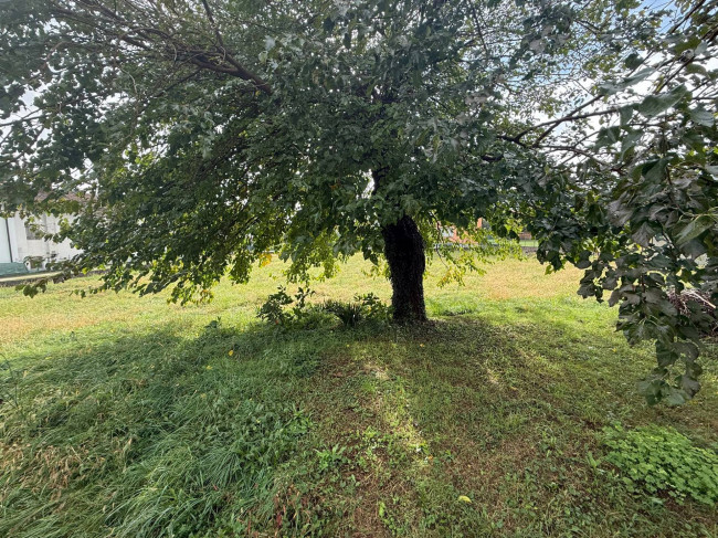 Terreno edificabile in vendita a Aviano