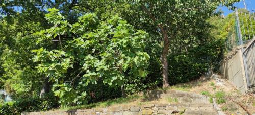 Villa in vendita a Celle Ligure