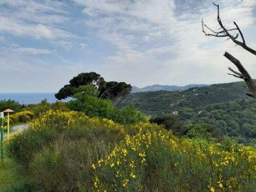 Terreno Residenziale in vendita a Savona