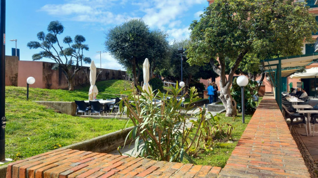 Appartamento in affitto a Albisola Superiore