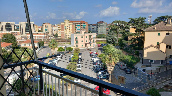 Appartamento in affitto a Savona