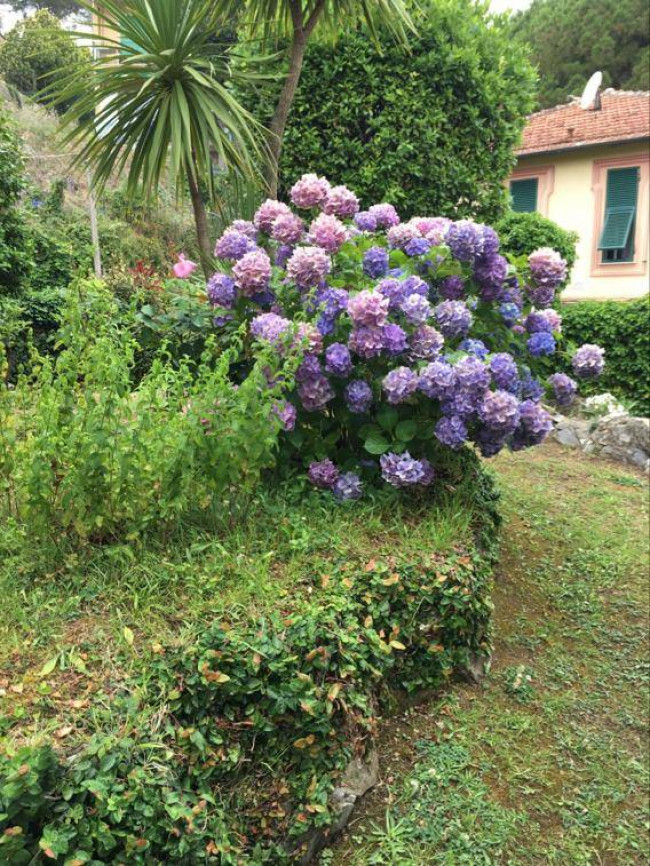 Appartamento in vendita a Santa Margherita Ligure (GE)