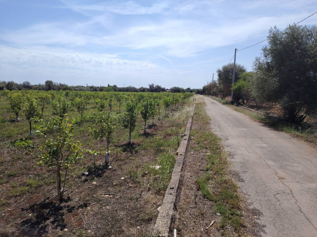 Azienda agricola in vendita a Floridia (SR)