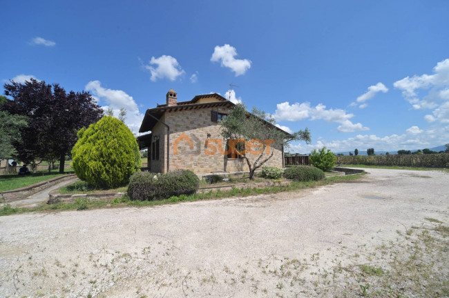 Casa singola in vendita a Torgiano