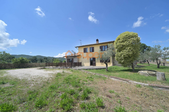 Casa singola in vendita a Torgiano