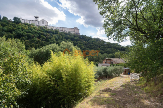 Porzione di Casa in vendita a Assisi