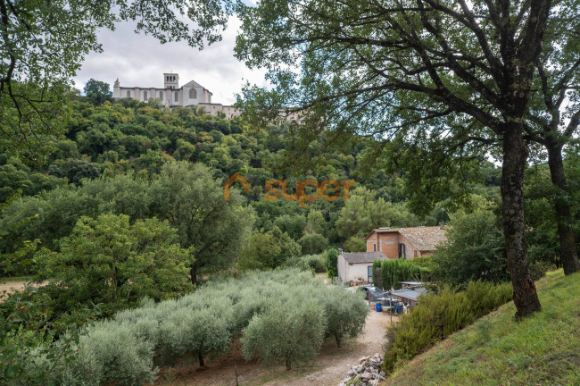 Porzione di Casa in vendita a Assisi