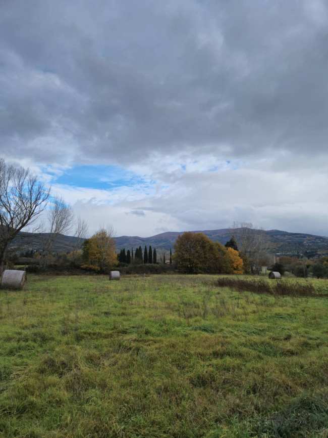 Terreno Agricolo in vendita a Tuoro sul Trasimeno