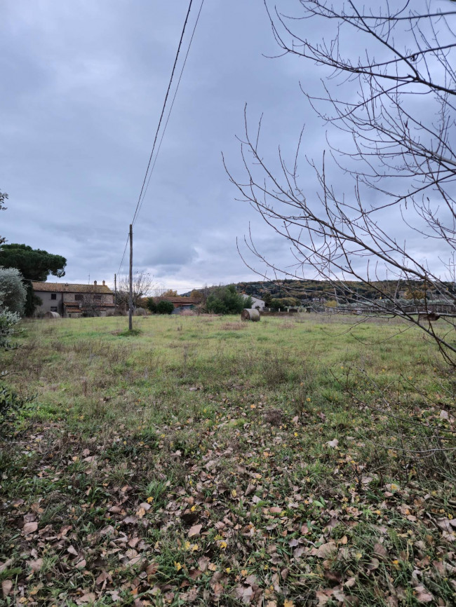 Terreno Agricolo in vendita a Tuoro sul Trasimeno