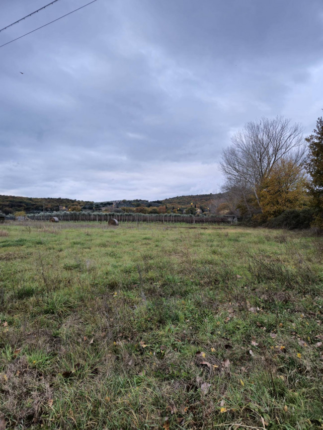 Terreno Agricolo in vendita a Tuoro sul Trasimeno