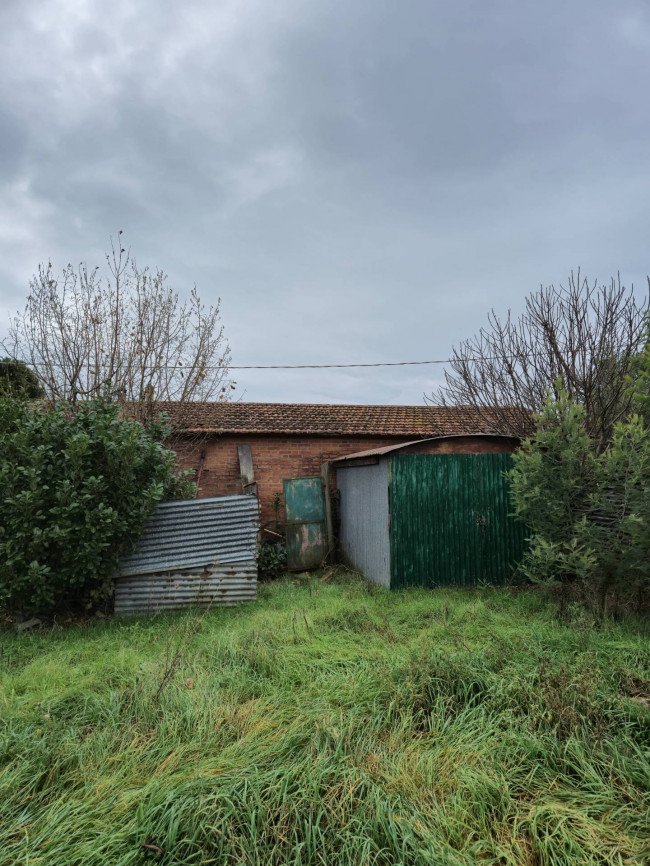 Terreno Agricolo in vendita a Tuoro sul Trasimeno