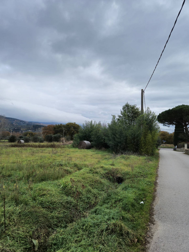 Terreno Agricolo in vendita a Tuoro sul Trasimeno