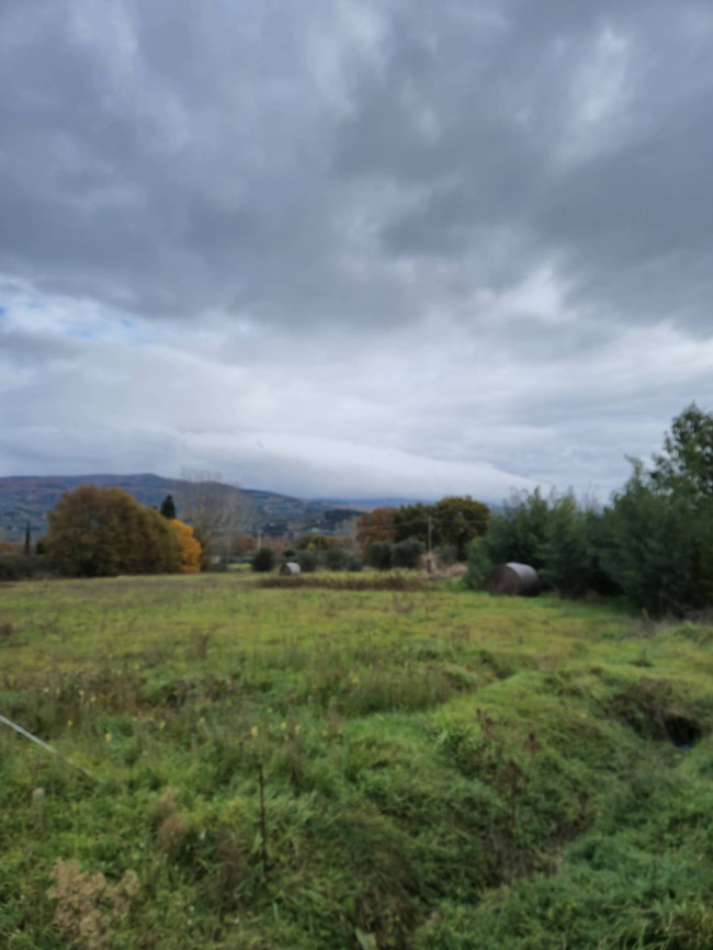 Terreno Agricolo in vendita a Tuoro sul Trasimeno