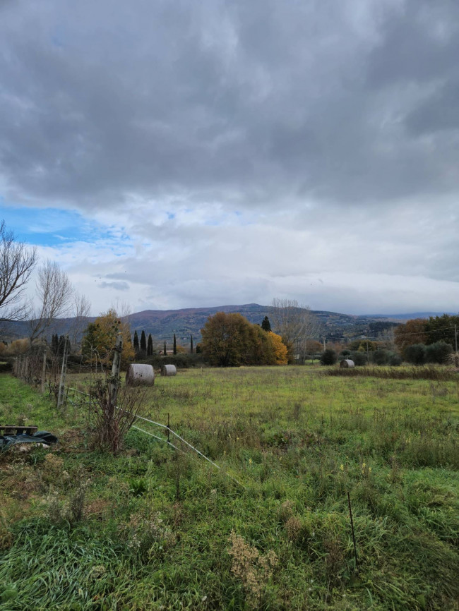 Terreno Agricolo in vendita a Tuoro sul Trasimeno