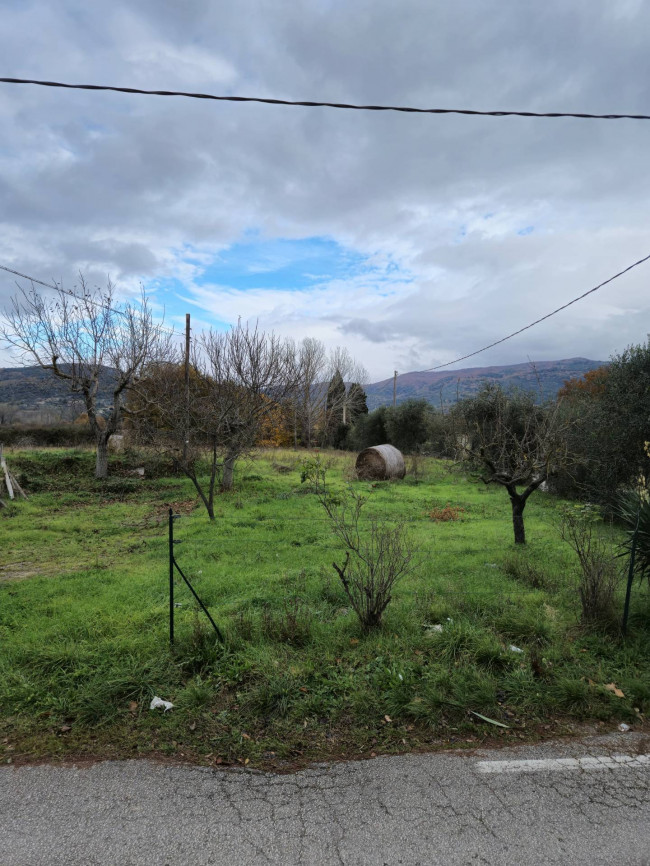 Terreno Agricolo in vendita a Tuoro sul Trasimeno