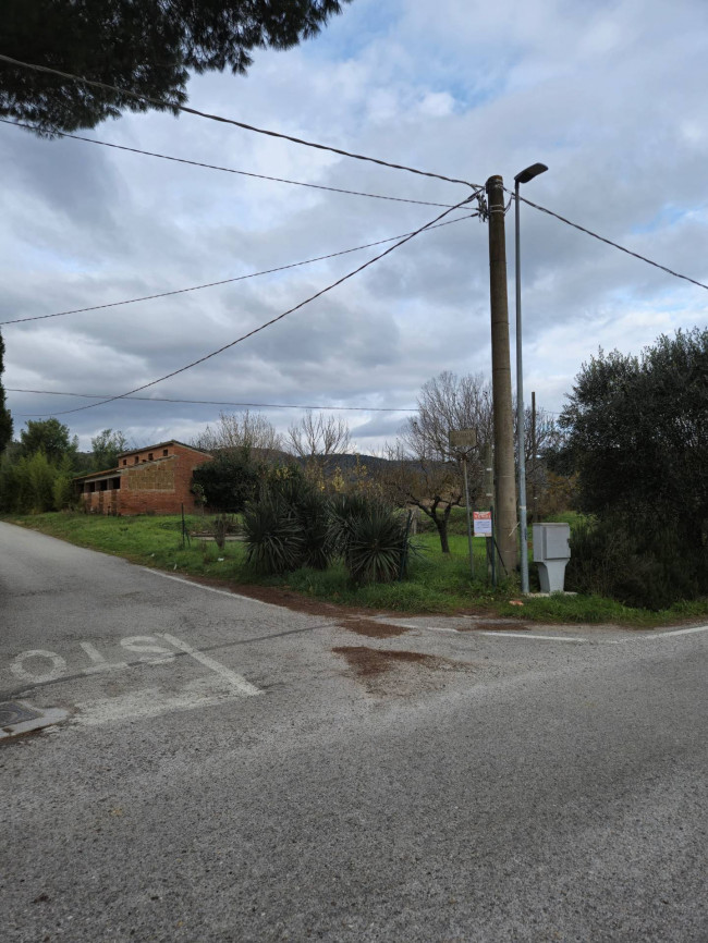 Terreno Agricolo in vendita a Tuoro sul Trasimeno