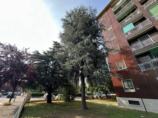Appartamento in vendita a Rozzano