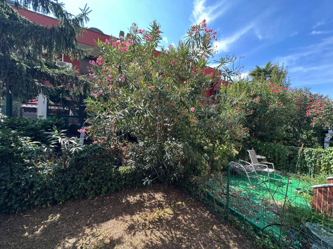 Villette a schiera in vendita a Opera